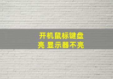 开机鼠标键盘亮 显示器不亮